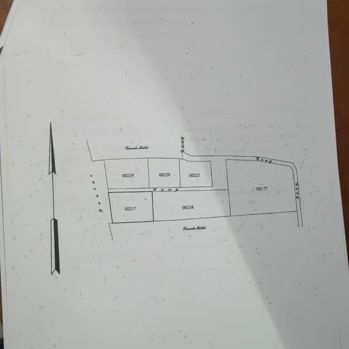 IMG-20241210-WA0196