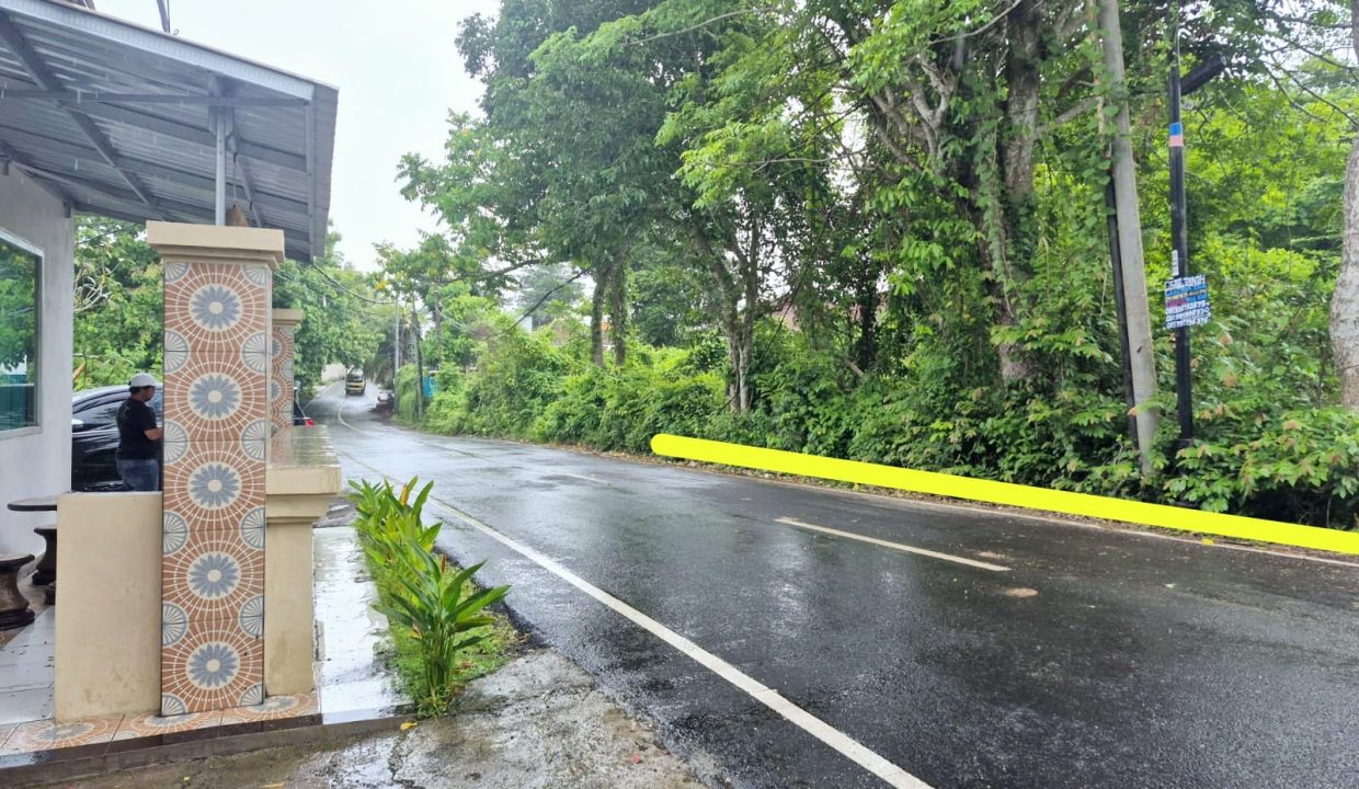 IMG-20250312-WA0065